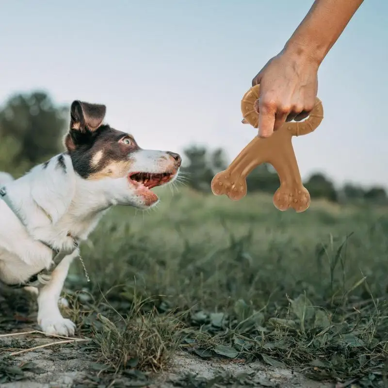 

Dog Chew Toys Pet Aggressive Chewers Puppy Teething Bone Dogs Teeth Cleaning Game Pets Chew Training Toys Dog Biting Bone