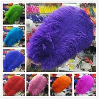 wholesale 50 55cm 20 22 inch big pole ostrich feathers natural dyed carnival decor feathers for crafts wedding decorations plume