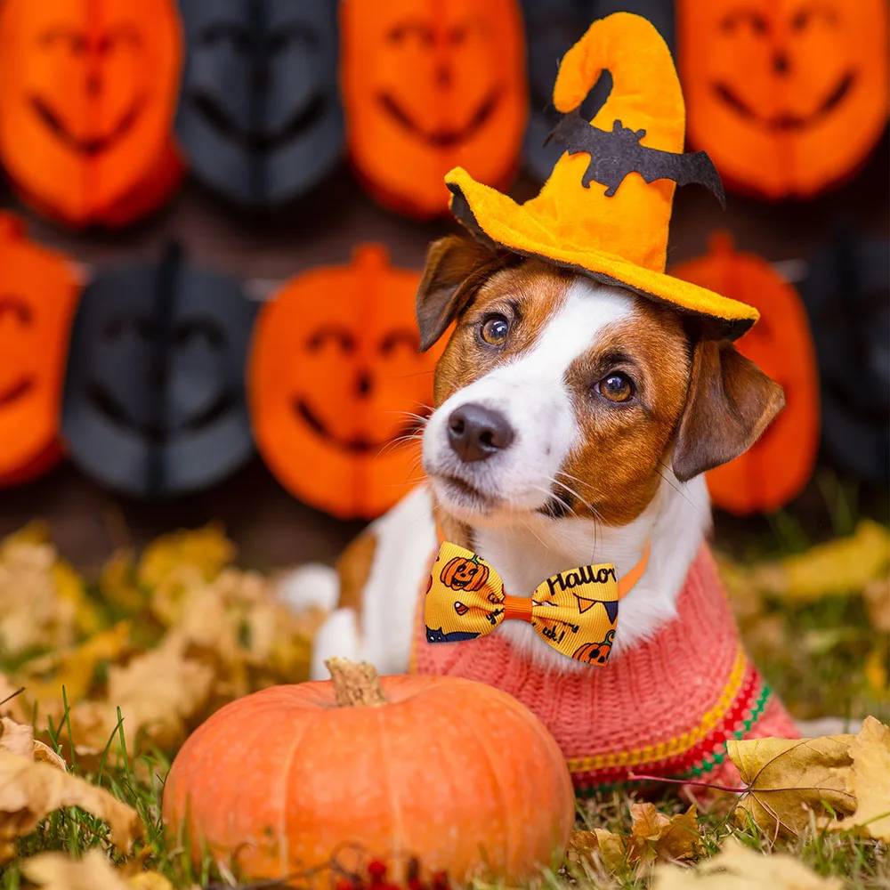 50 шт. галстук-бабочка на Хэллоуин бант для собак регулируемый череп маленькие