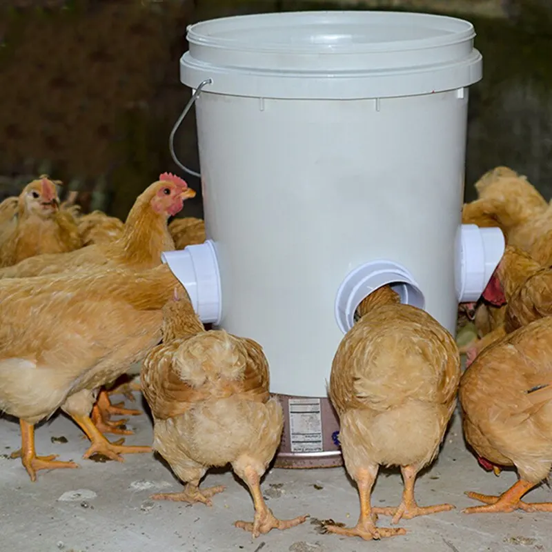 Poultry Pro Feeder ​DIY Plastic Port Gravity 3.15