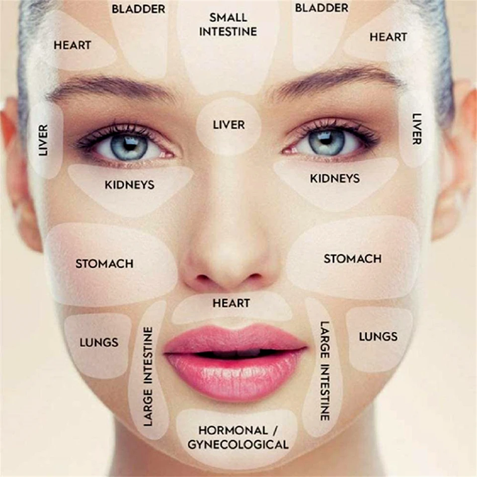 Названия частей лица для макияжа. Работа с лицом как называется. Морщины на лице названия. Работа с лицом как называется. Части лица.