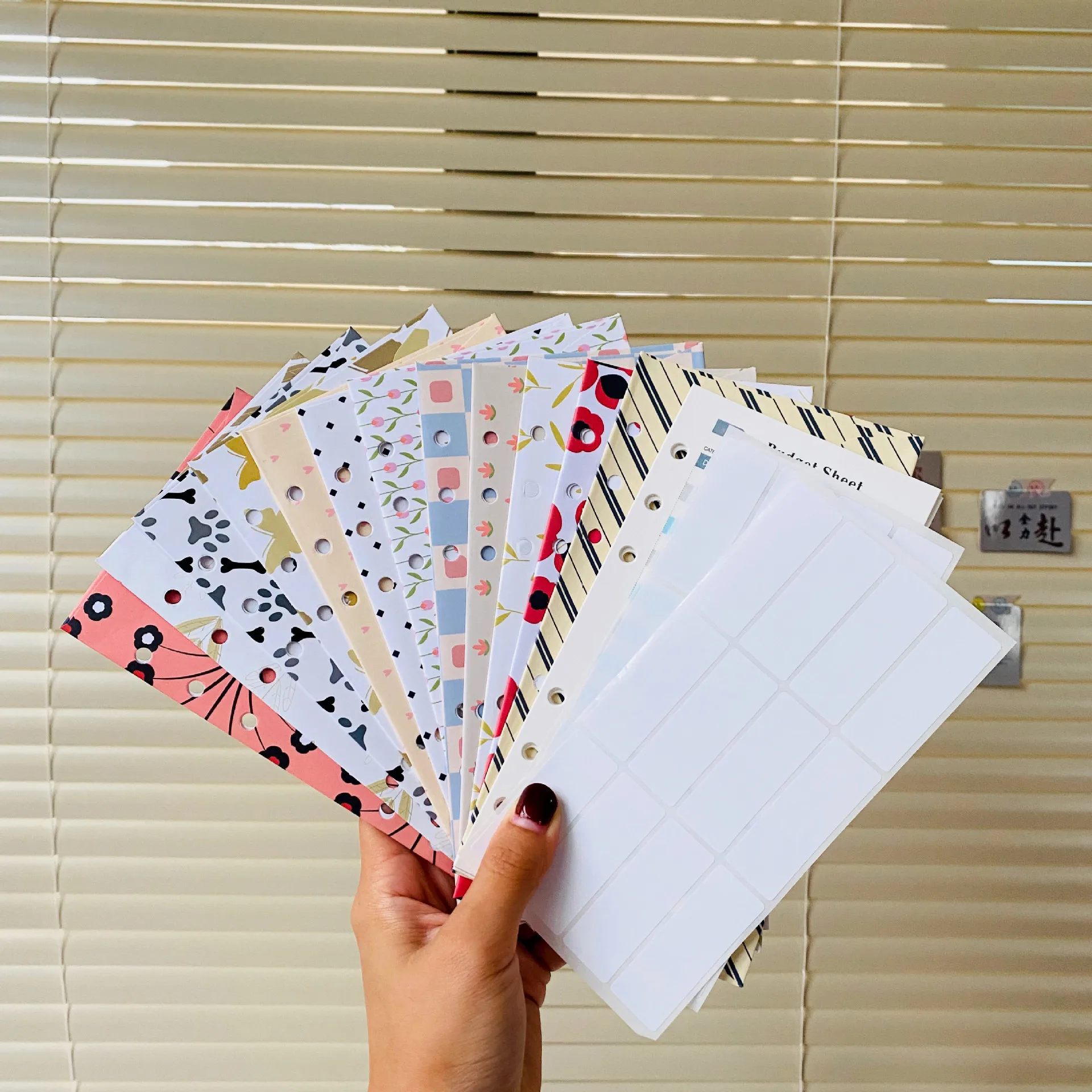 

Планировщик бюджета Coliky A5/A6