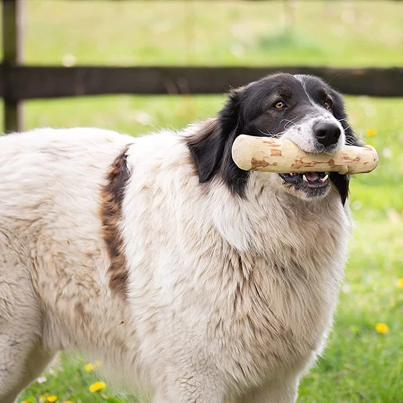 Dog Chewing Molar Stick Coffee Wood Pet Molar Stick Hamster Pet Supplies