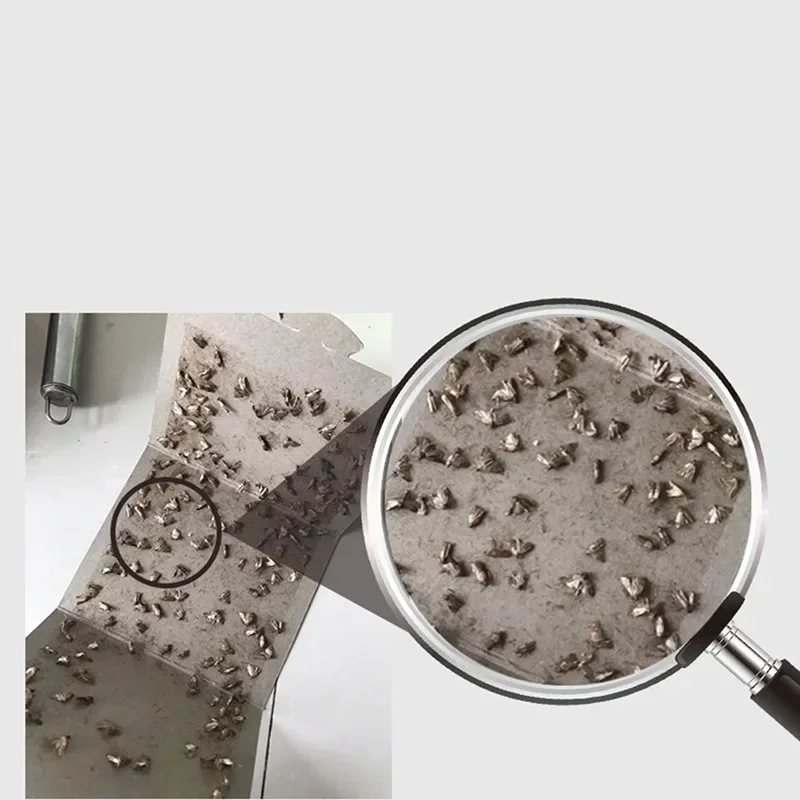 

Reject Pantry 5pcs Fly Restaurant Use Glue Family Insects Sticky Killer Food Pest Pheromone Trap Trap Paste Factory Moth 2023