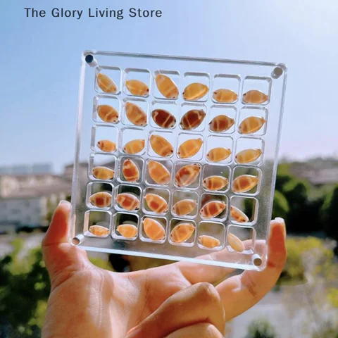 Магнитная коробка для хранения бижутерии 36/64