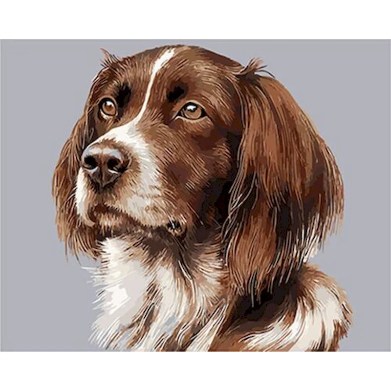 

GATYZTORY Dog Frame Oil Painting By Numbers Drawing On Canvas 60x75cm Decorative Paintings DIY Original Gifts Coloring Number