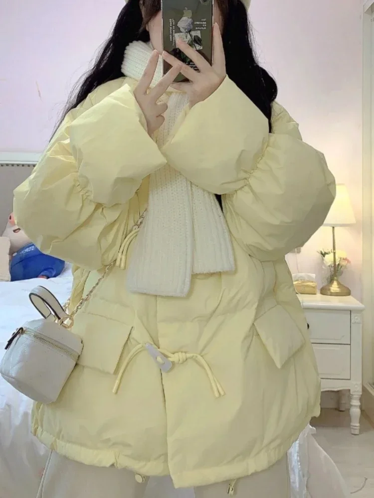 Женские теплые утепленные парки одноцветные зимние куртки с воротником-стойкой