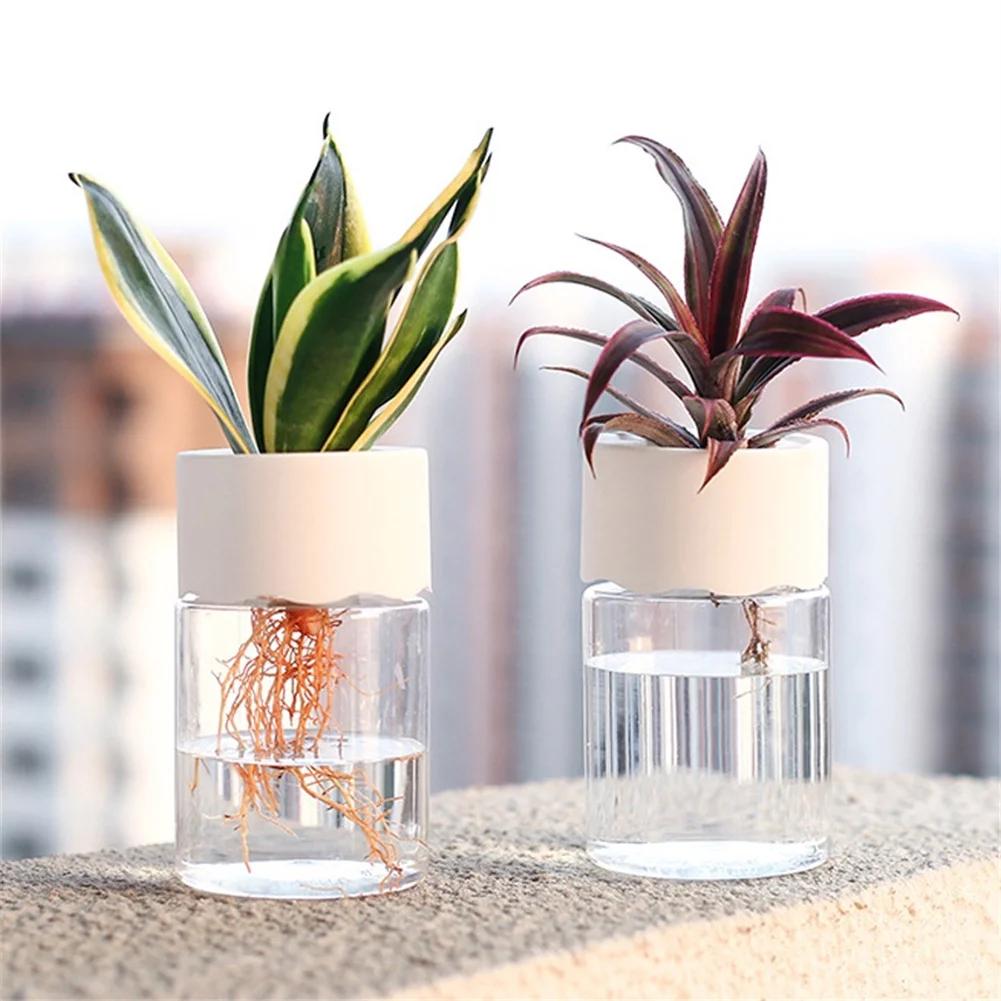 

Plastic Flower Pot Hydroponic Flower Pot Transparent Flower Vase Seedling Container Planting Boxes Garden Parts Prevent Leakage