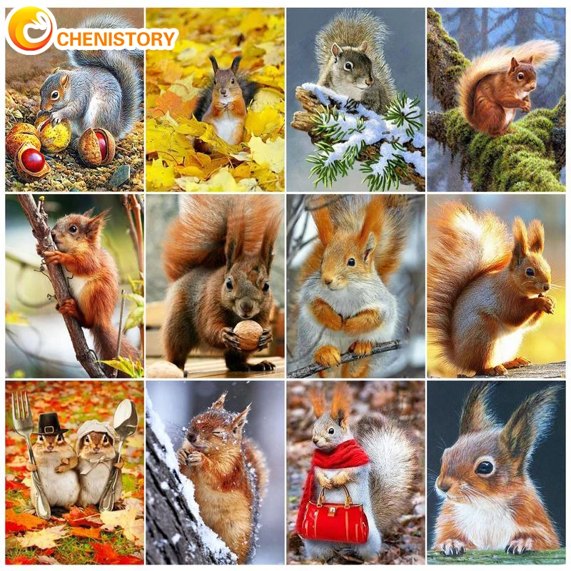 

CHENISTORY Painting By Numbers Cute Squirrel DIY Painting By Numbers Animal On Canvas Digital HandPainting Frameless Home Decor
