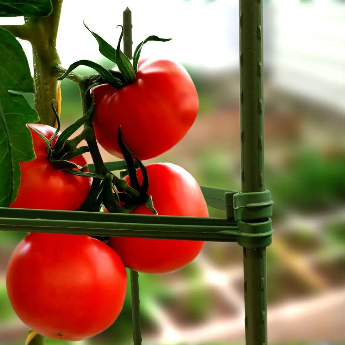 25 упаковок садовых стоек металлическая пластиковая посадочная клетка с