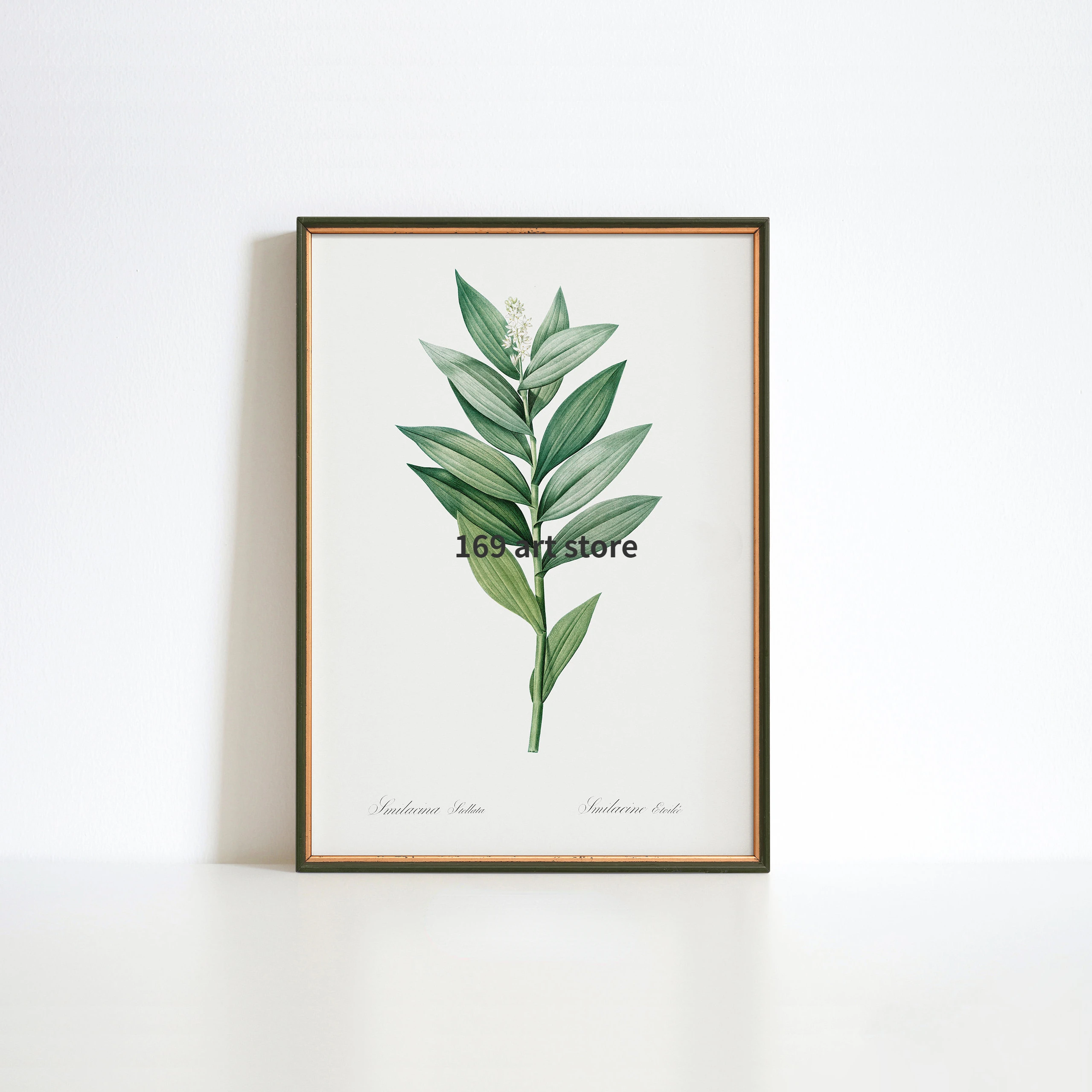 Ботанический минималистский папоротник винтажные дикие цветы галерея картина