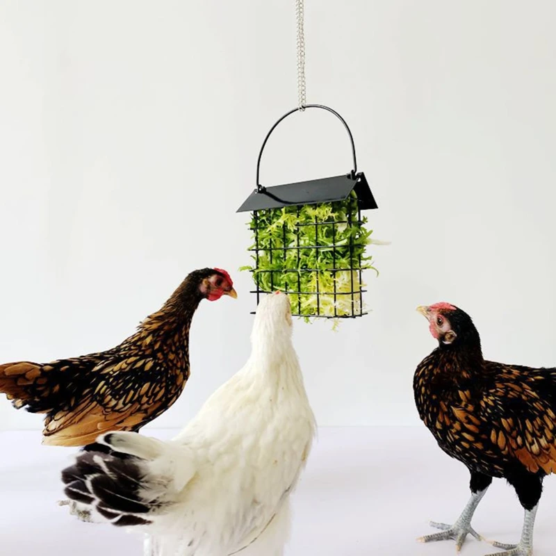 

Chicken Feeder Basket Chicks Foraging Toy Metal Hanging Birdfeeders Bird Feeding Device for Small Parakeets Cockatiels Parrots