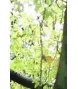 

Только для обуви 3 пары AAABBB01