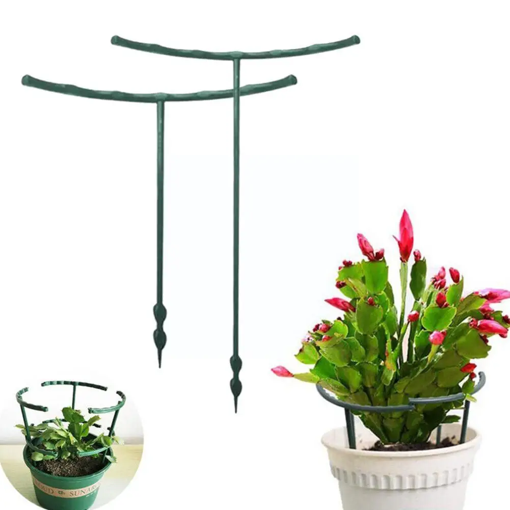 

10 шт., Т-образный держатель для растений, T3g1