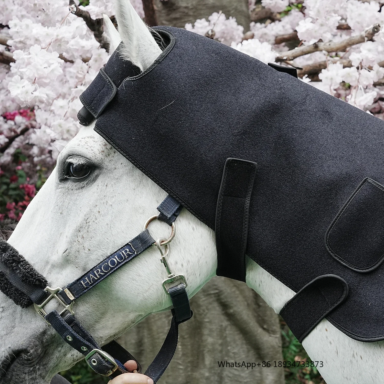 SODOLUX инфракрасный пояс для животных