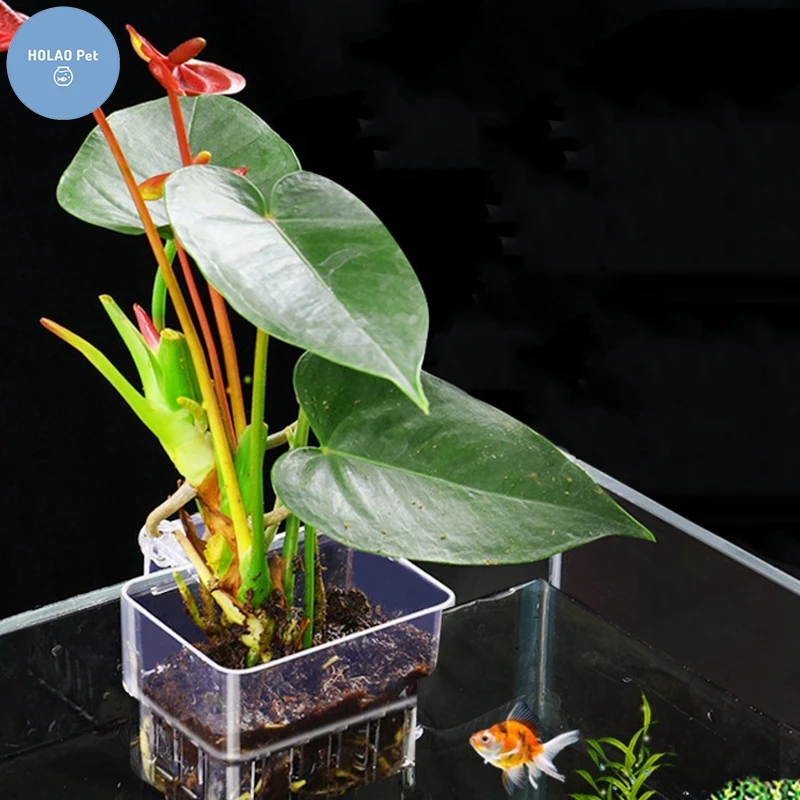 Рыбный резервуар стакан растений прозрачные подставки для гидрокультуры