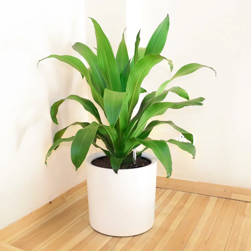 

Цилиндрический пластиковый цветочный горшок, круглый большой цветочный горшок, автоматическое водопоглощение, ленивый пластиковый цветоч...