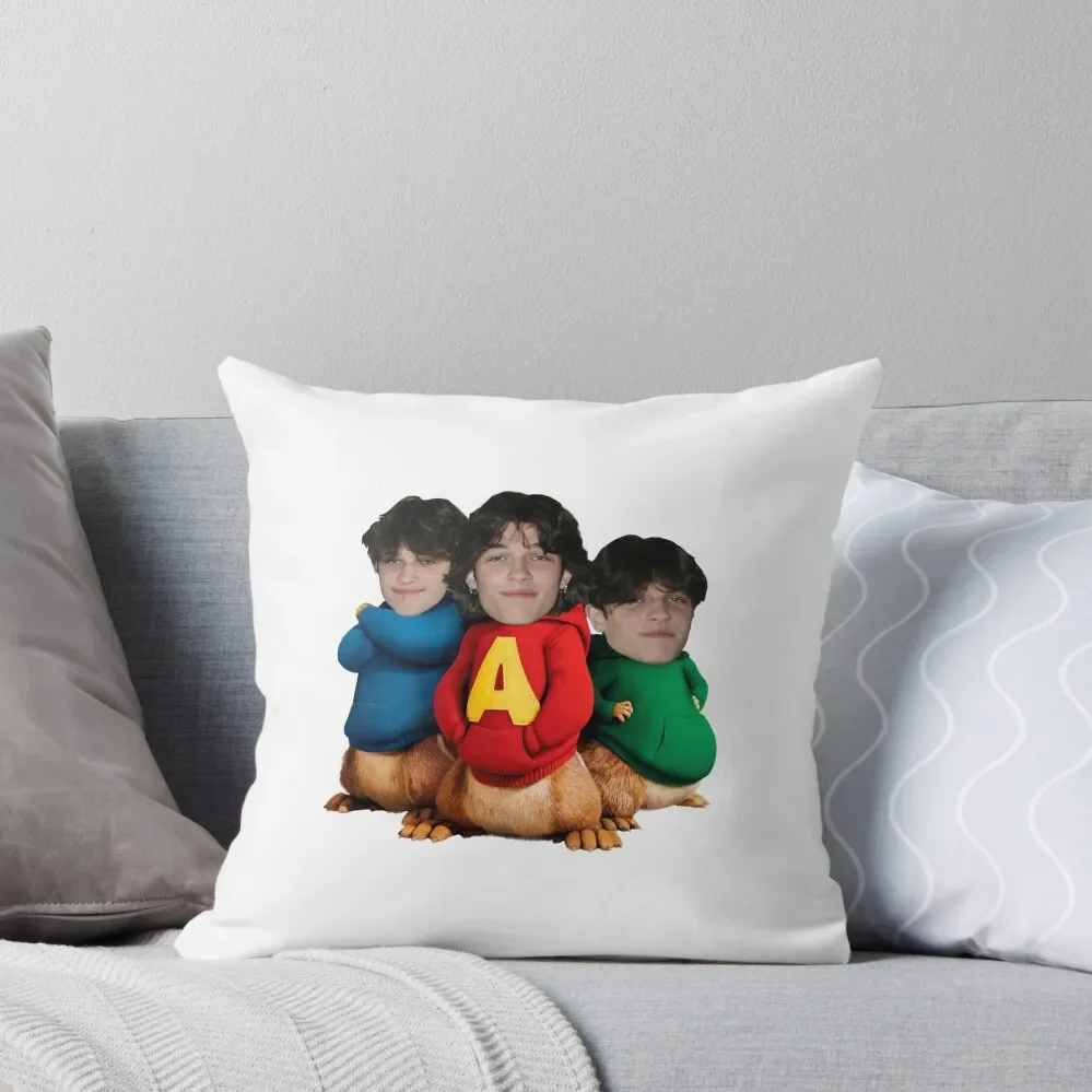 Стурниоло тройные белки диванная подушка наволочка рождественские наволочки