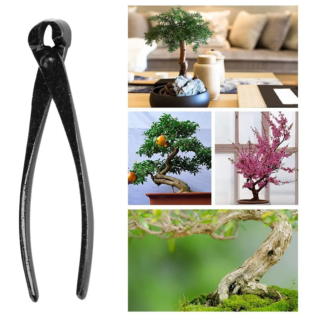 

Plant Pruning Shears Carbon Steel Garden Flower Bonsai Round Edge Trimmer Scissor Professional Tools Accessories