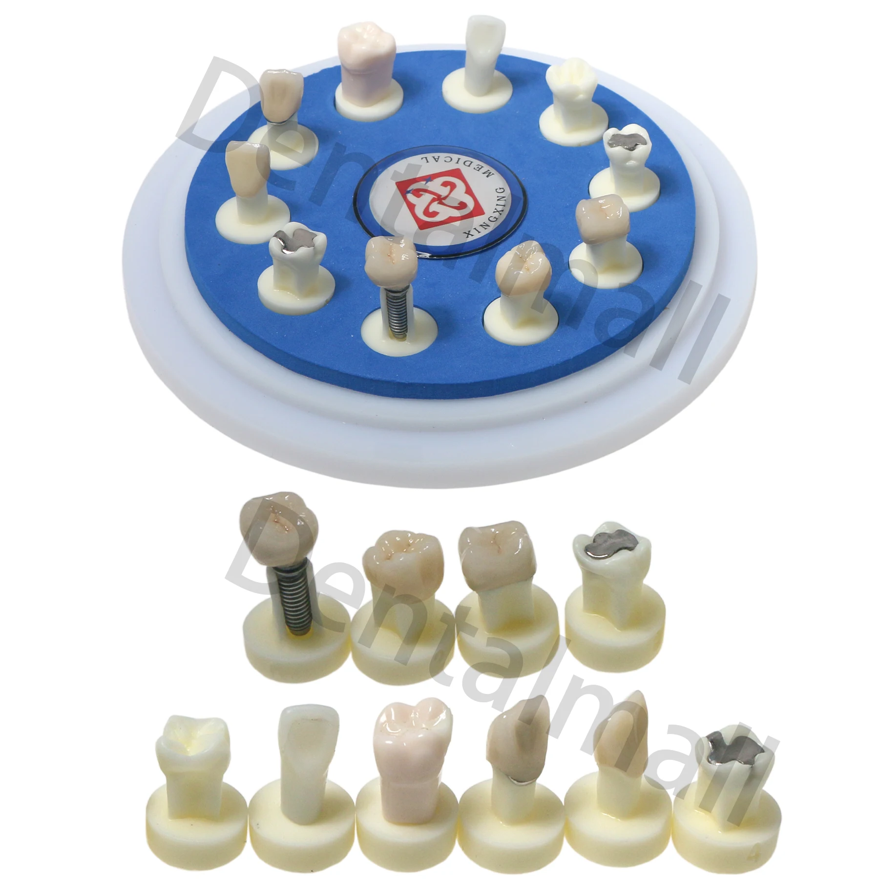 Зубной имплантат корона реставрация зубов модель 10 различных корон M6011 процесс