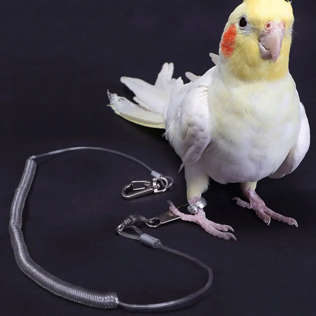 

Alloy Leg Ring Flexible Bird Chain Belt Anti Bite Plastic Wire Rope Parrot Bird Outdoor Flight Training Rope Macaw Starling