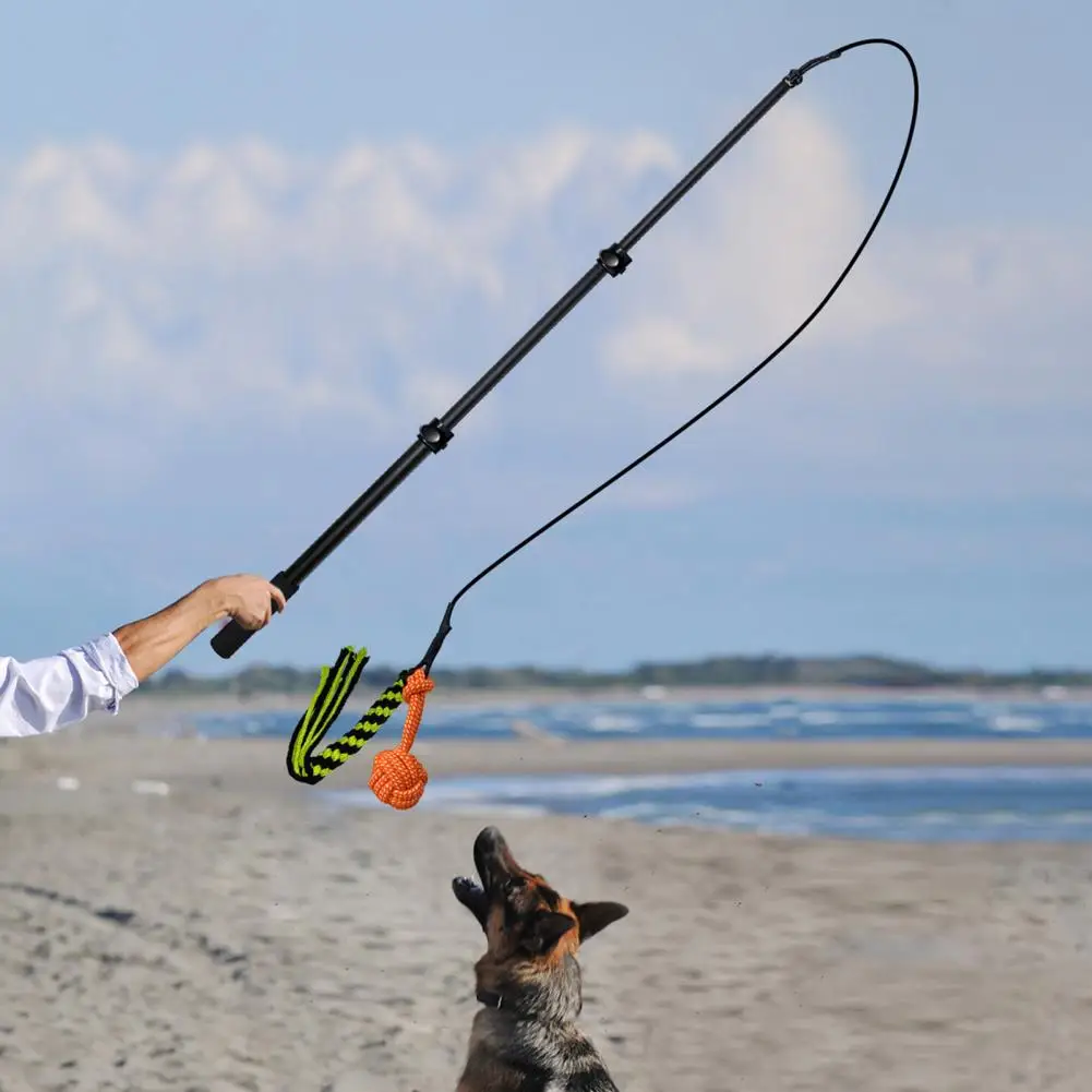

Funny Dog Stick Wear-resistant Creative Pet Rope Tether Lure Toy Adjustable Portable Retractable Dog Stick for Outdoor