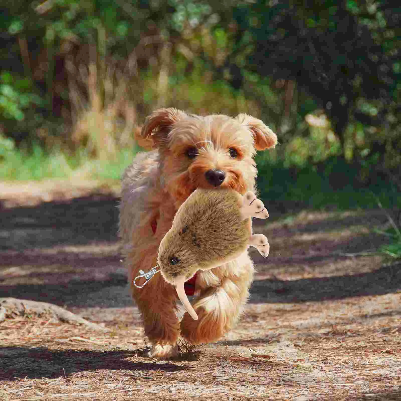 

Stuffed Plush Kiwi Bird Design Interactive Toys for Cat Kitten Puppy Playing Intellectual 12cm ( Brown )