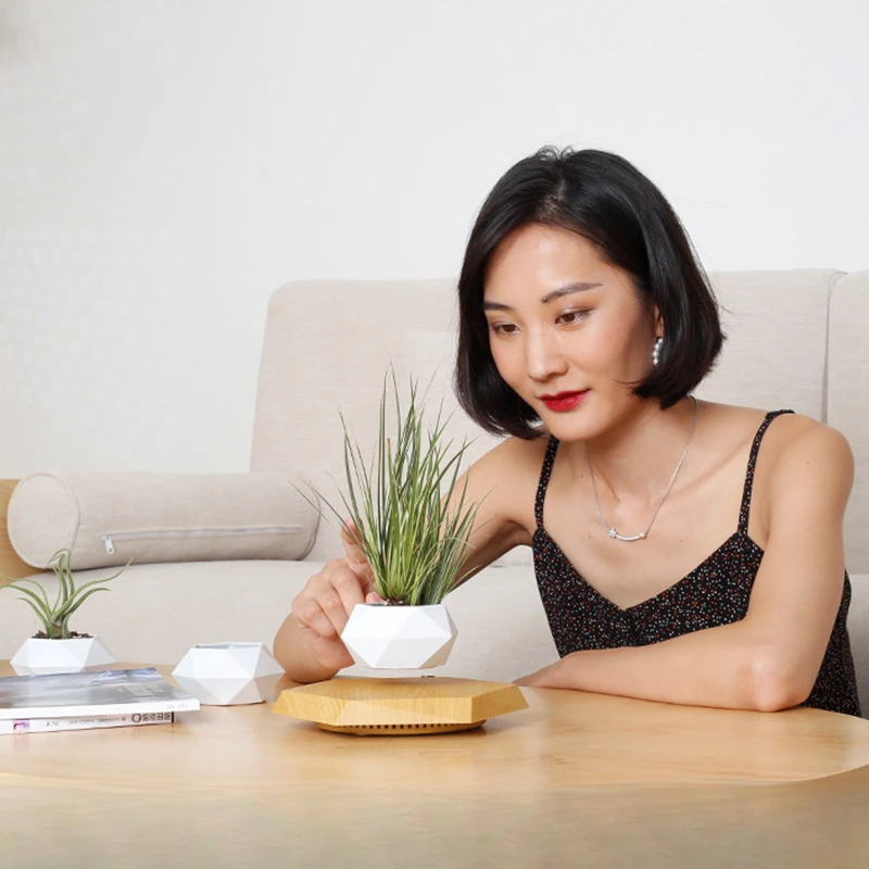 Горшечное растение maglevu цветочный горшок креативный бонсай подарки ручной