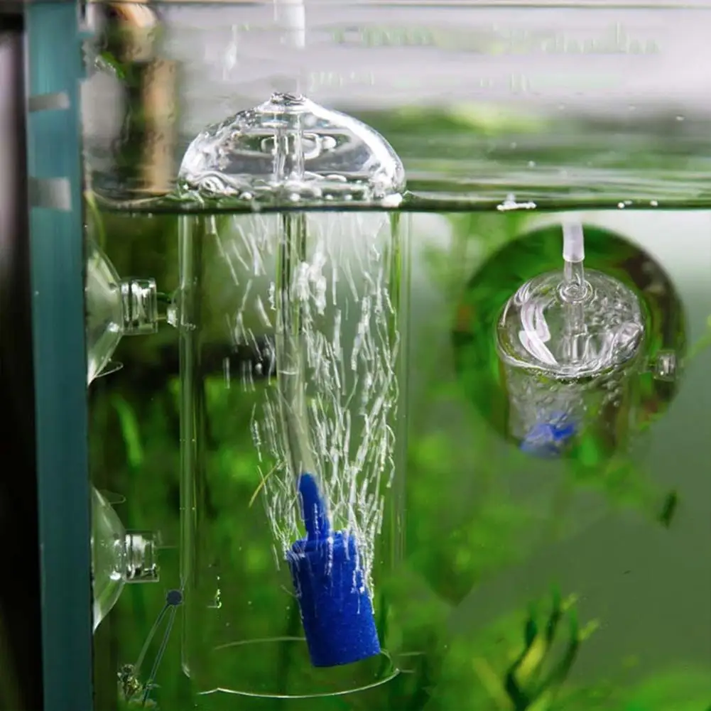 Почему пузырьки в аквариуме. Распылитель для аквариума стеклянный. Распылитель кислорода для аквариума. Стеклянный аэратор для аквариума. Пузырьки в аквариуме.