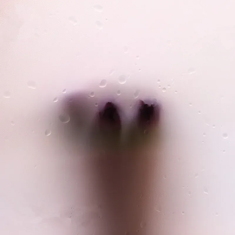 20 шт водонепроницаемый пластиковый цветок подарочная оберточная бумага с 10 м