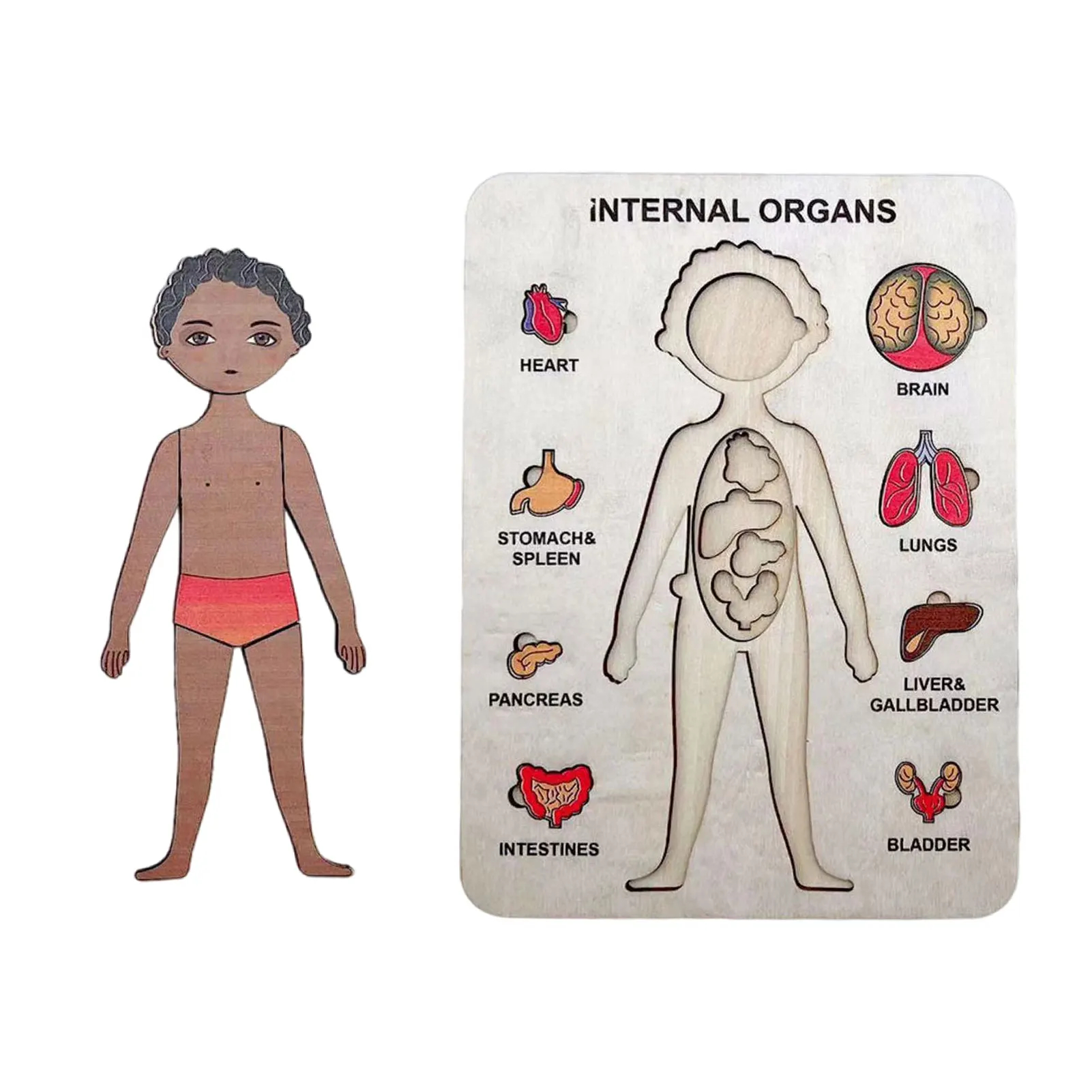 

Wooden Human Body Puzzle For Kids Boy Body Structure Montessori Jigsaw Puzzles Boys Anatomy Body Parts Play Set Learn Body Parts
