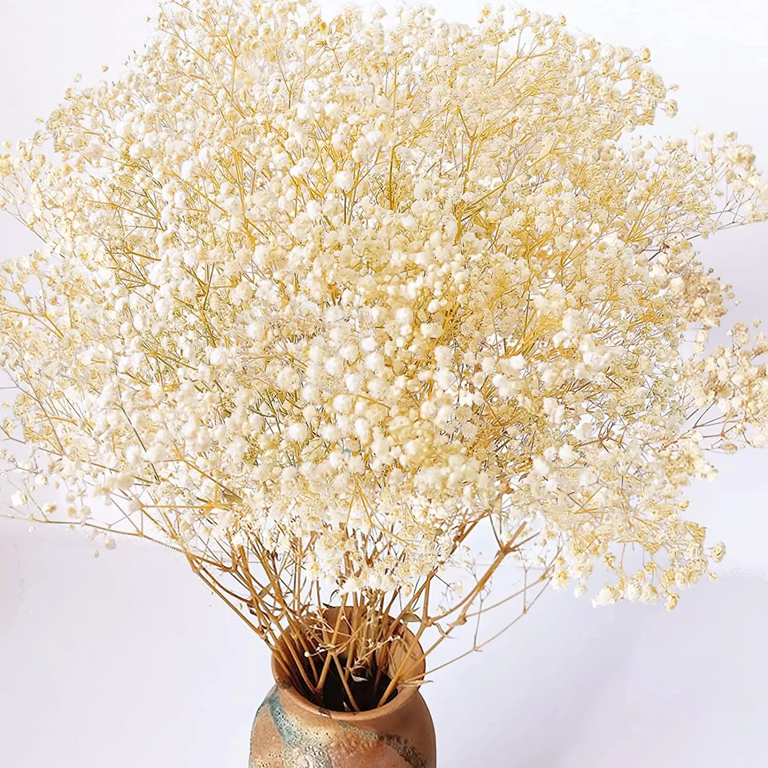 

Natural Dried Flowers Gypsophila Perfect for Autumn Thanksgiving Halloween Christmas Valentine's Day Weddings Boho Home Decor