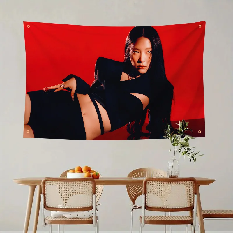 Альбом Певца Силги 28 Причин Флаг Декоративное Настенное Искусство Корейский