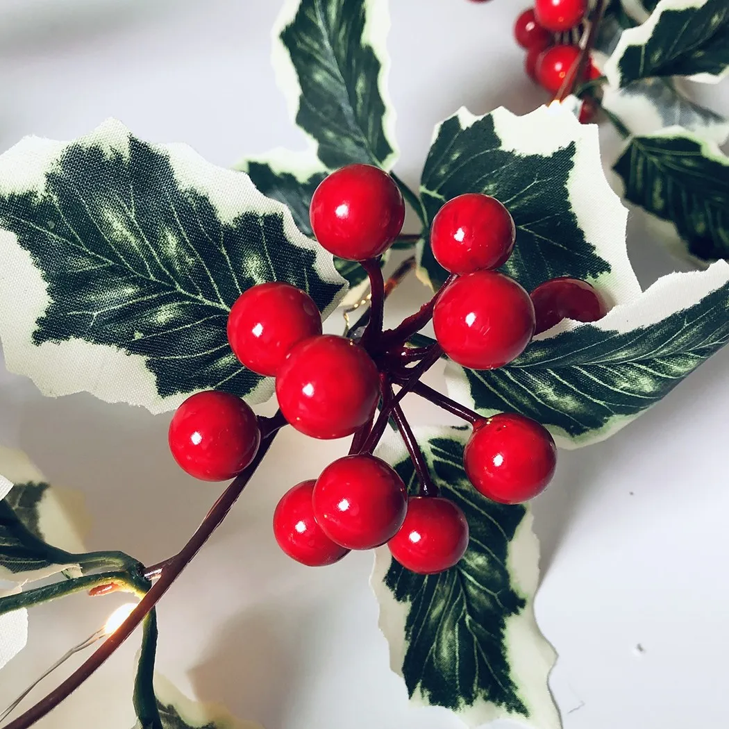 

Рождественская гирлянда из ротанга с красными фруктами, 2 м, 20 светодиодов, 80-265 В переменного тока, Рождественская гирсветильник, сказочный ...