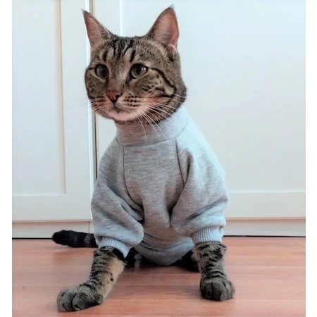 

Stylie Long Sleeve Cat Post-Operative Garment 453150831