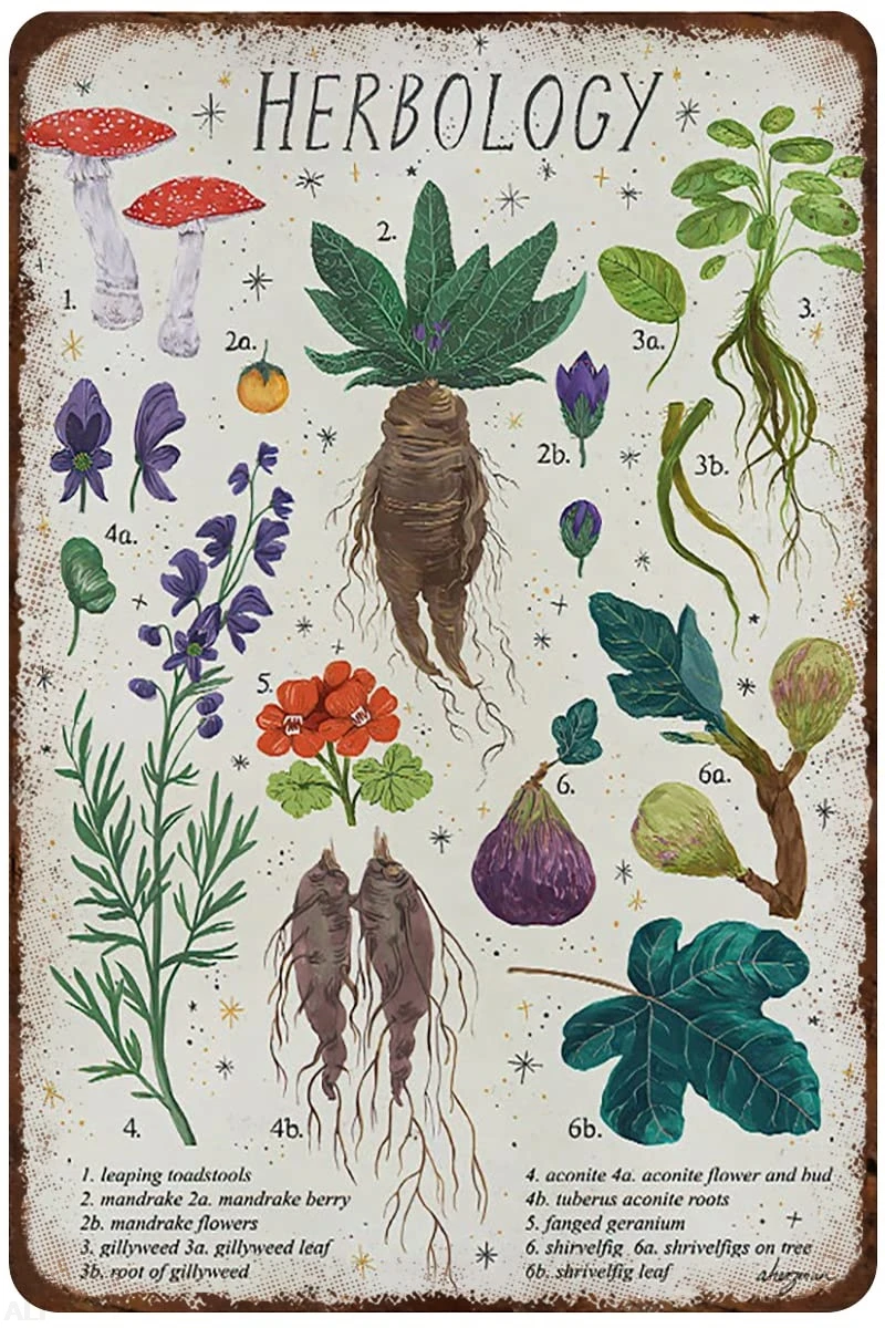 

Металлическая вывеска Herbology Poster