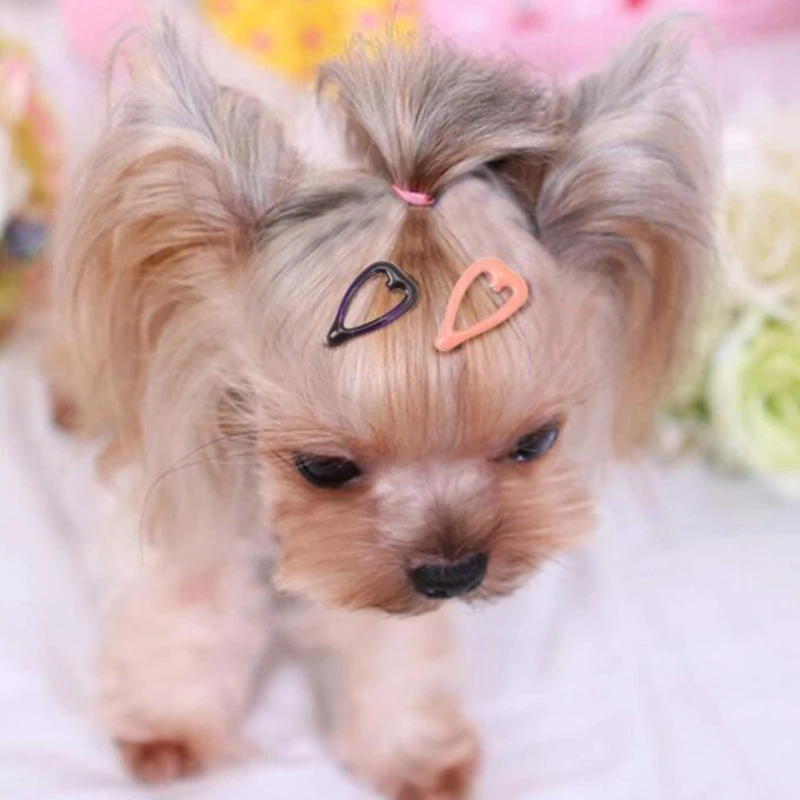 

20pcs/lot Heart Shape Pet Dog Hairpin About 2cm Small Puppy Cat Hair Clips Pet Hair Accessories Dog Hair Grooming Accessories