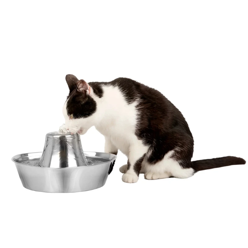 

Seaside Stainless Pet Fountain, Automatic Dog and Cat Water Bowl, 60 oz