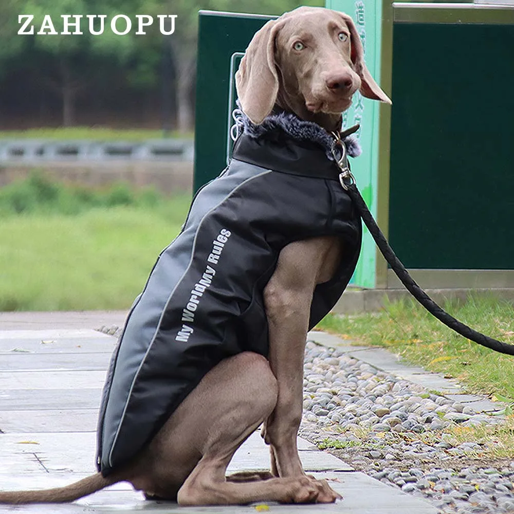 

Spring Autumn Winter Keep Warm Pet Supply Small Dog Preppy Knit Vest V-Neck Sleeveless Pullover Sweater Solid Badge Home Clothes