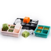 household food grade mold with cover and 8 square ice cubes