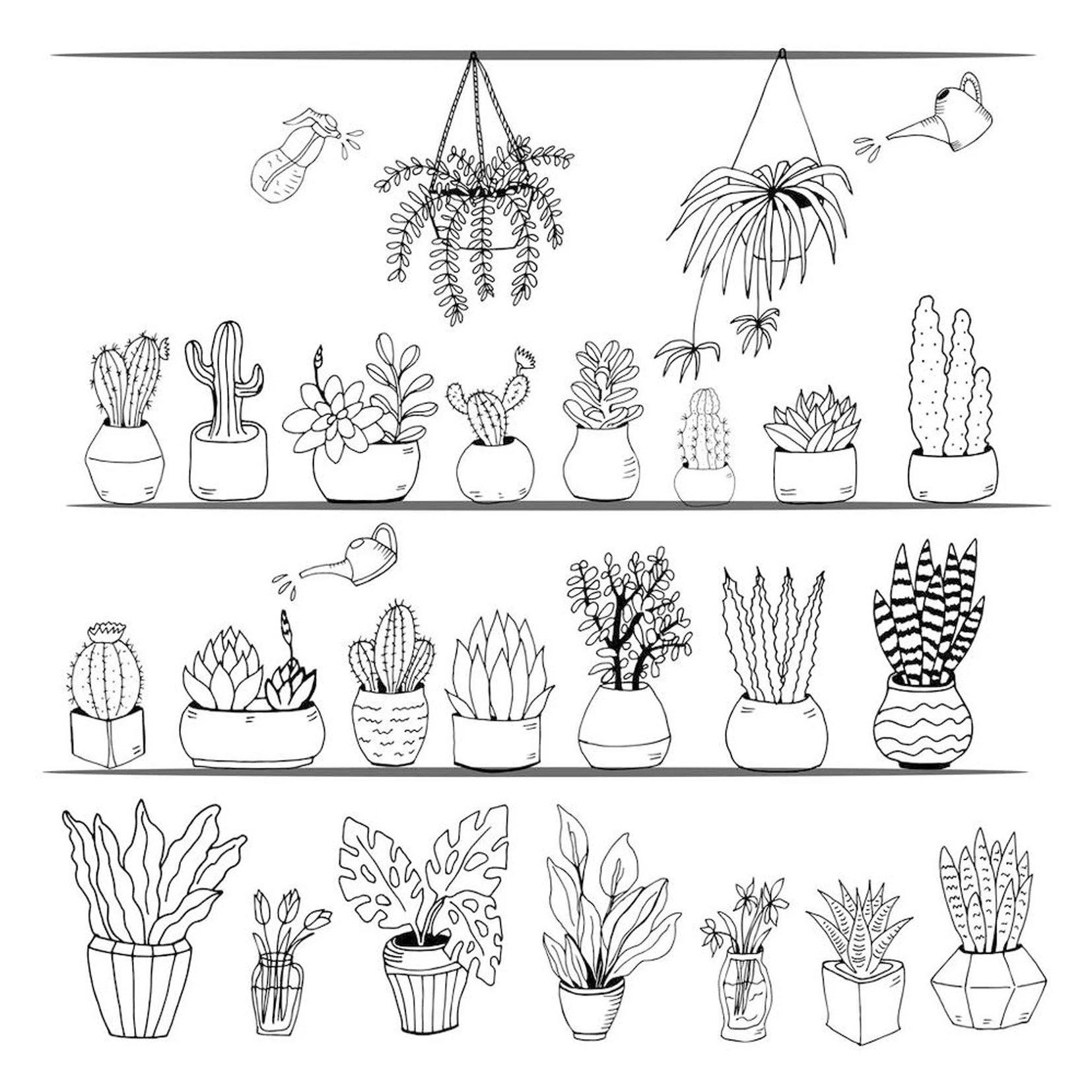 

DABOXIBO Cactus/Spider Plant/Green Plant Clear Stamps Mold For DIY Scrapbooking Cards Making Decorate Crafts 2020 NEW Arrival