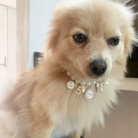 fashion sweet dog chain puppy accessories pearl rhinestone cat jewelry pet collars necklace bow collar
