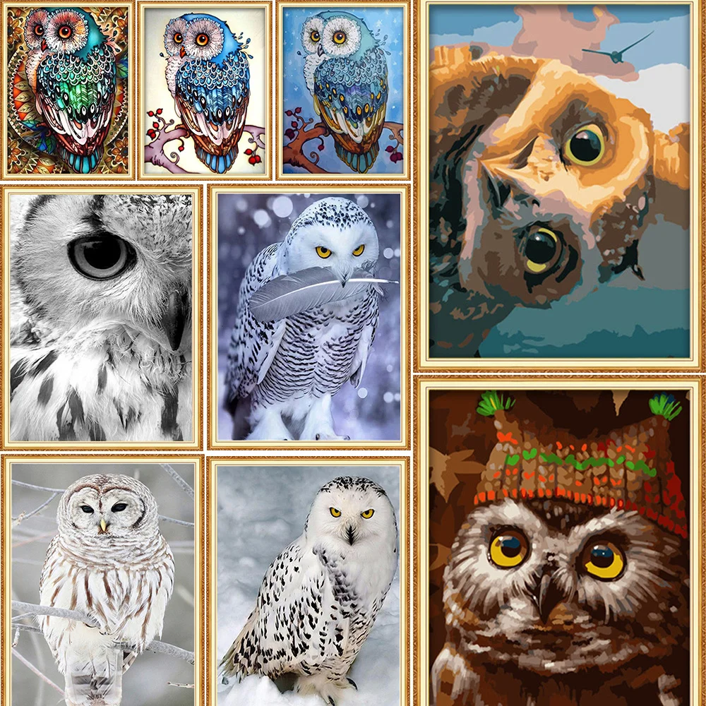 

Diamond Art Painting Embroidery Kit Owl Animal Wall Bathroom Decor Full Square Round Diamond Gift Kitchen Accessories Wholesale