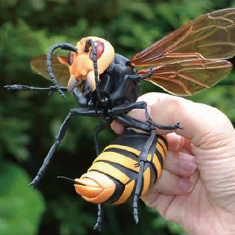 

Wandai genuine egg twisting insect wasp and tiger head wasp joint movable animal model