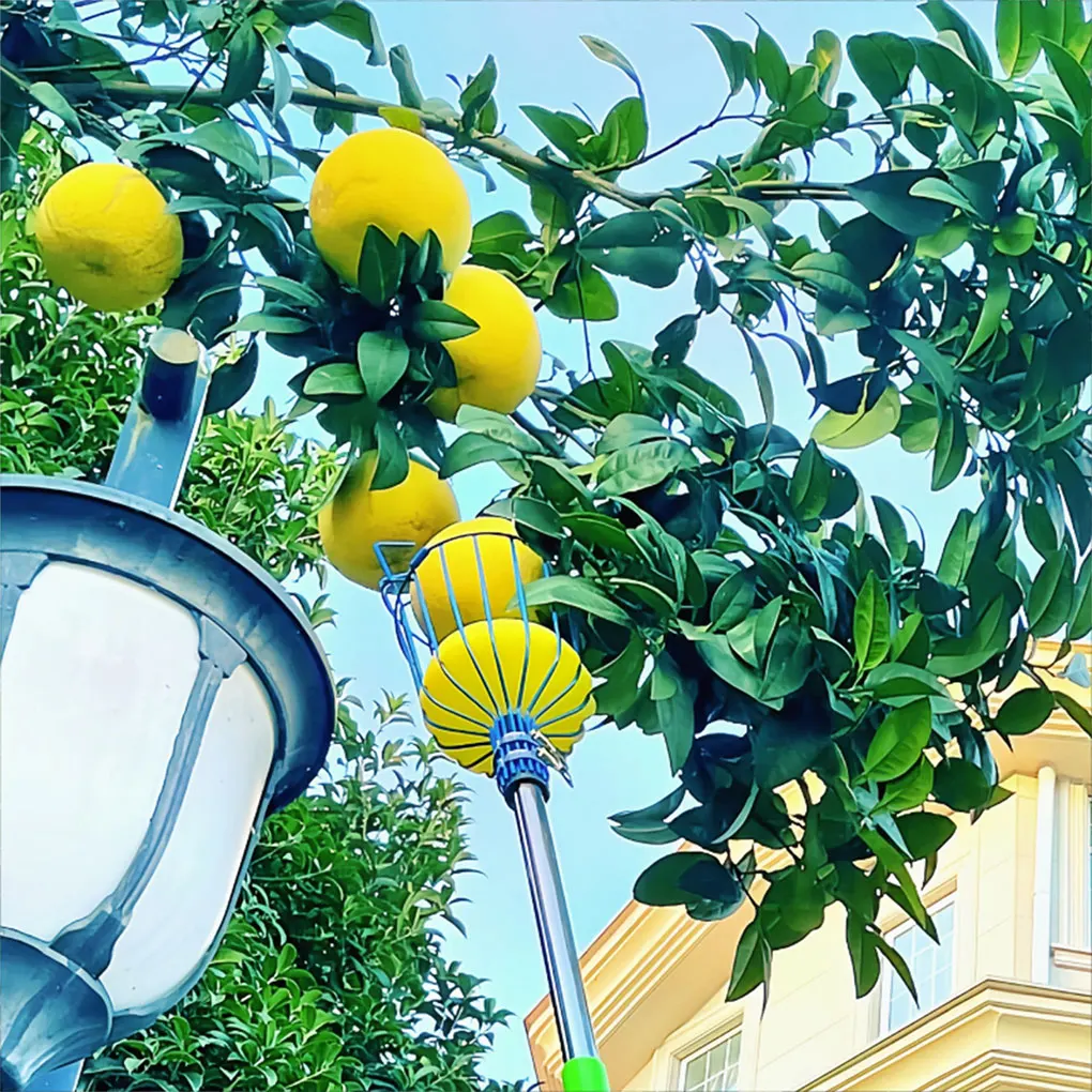 Телескопический стержень для сбора фруктов из углеродистой стали регулируемая