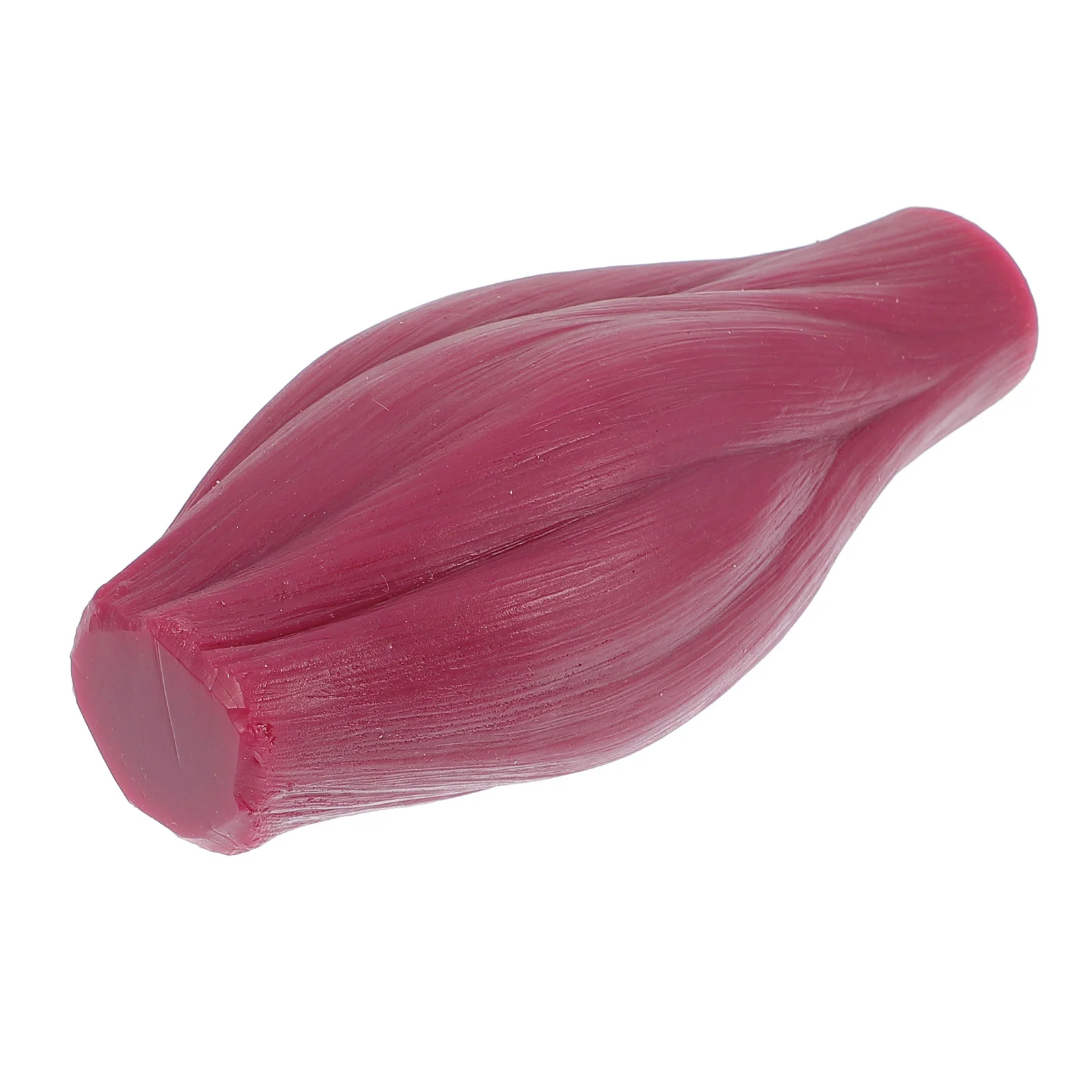 

Muscle Model 1 Lb Human Body Pound Replica Teaching Display Kids Educational Toys