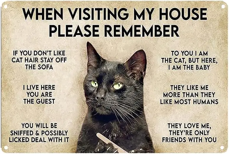 Robert Art When Visiting My House Please Remember Vintage Wall Decoration - Cats Artwork Original Design Tin Metal Pr