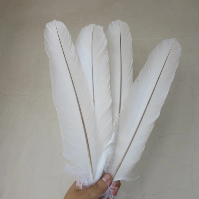 

10Pcs/Lot Natural White Eagle Feathers for Crafts 40-45cm/16-18inch Long White Pheasant Feathers Decor DIY Plumes Decoration