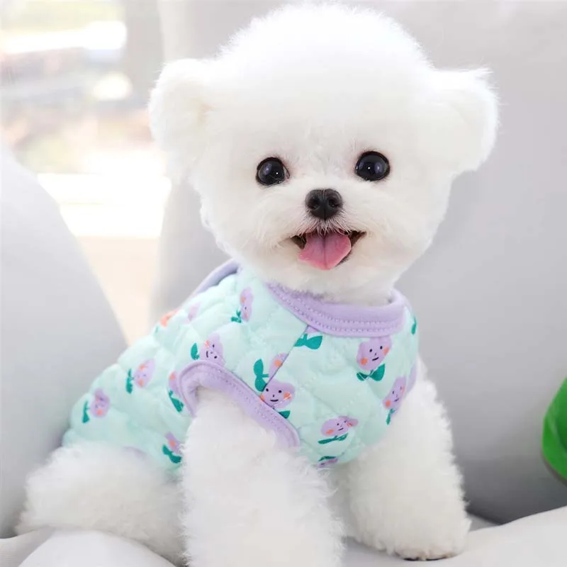 

Одежда для любимца Мишка плюшевое хлопковое пальто VIP Bichon Hiromi, щенки кошек, маленькие собаки, осенняя и зимняя одежда, одежда для собак