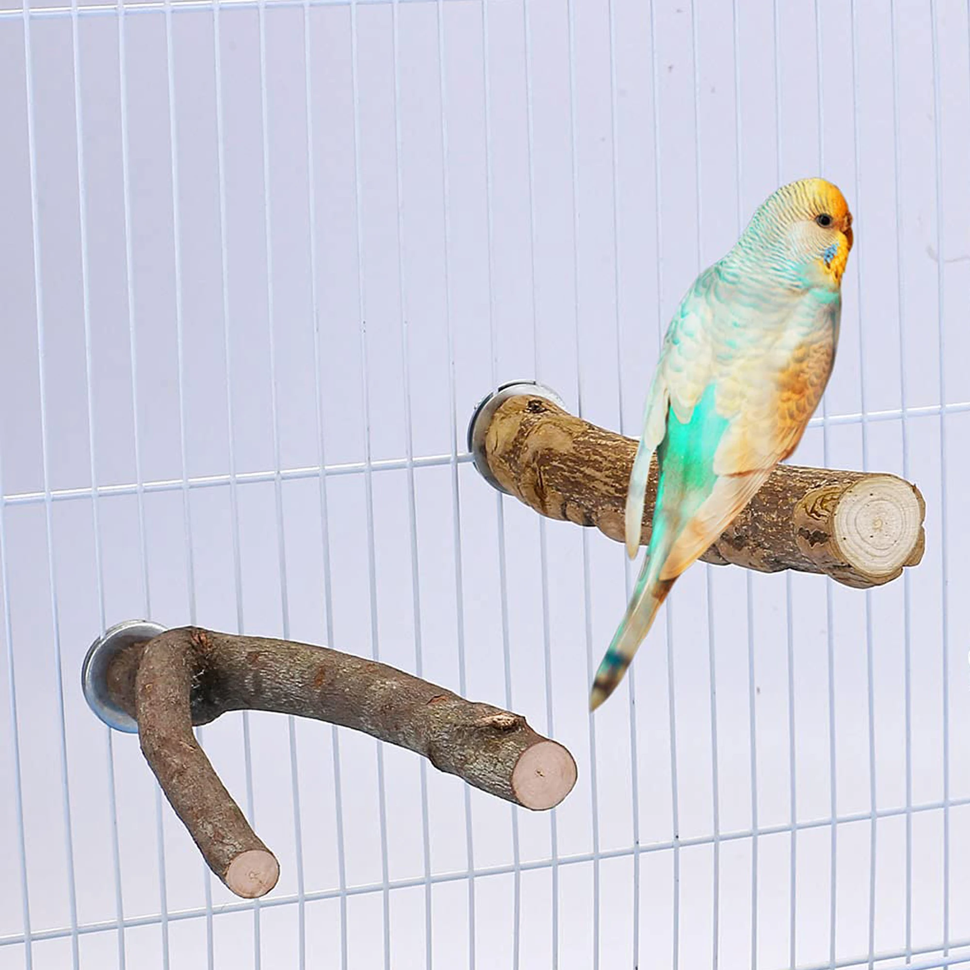 

4 шт., подставка для попугаев и окуней, на платформе